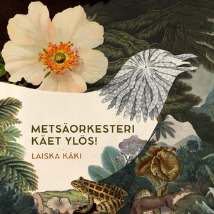 Variksen pesänlaitto