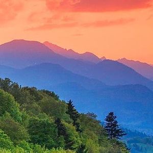 白雪山穿过麦浪 (4)