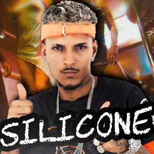 Silicone