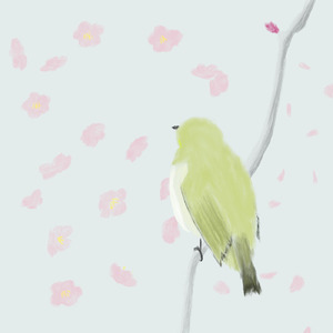 何度目かの梅の花