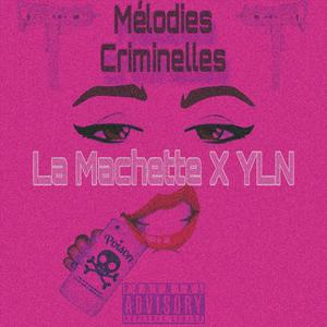 Xani (feat. YLN)