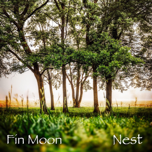 Nest