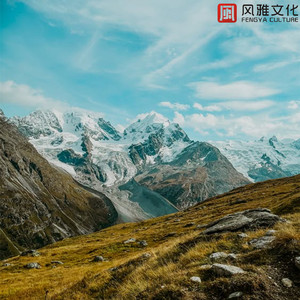 她记忆之中的田野 -小提琴