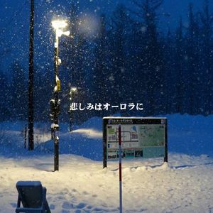 悲しみはオーロラに