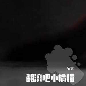 小狐狸