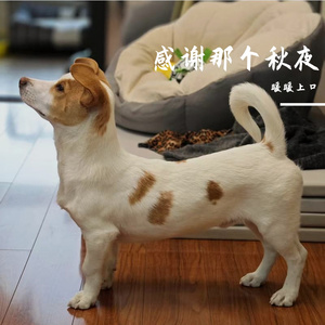 暖暖上口-“感谢那个秋夜的我们”