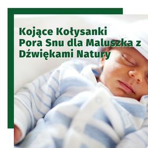 Przyjemna Noc, Relaksująca Natura