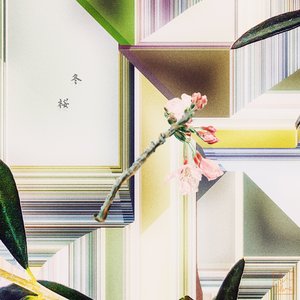 Fuyu-zakura (synfilums rework)