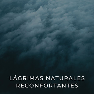 Facilidad Consciente