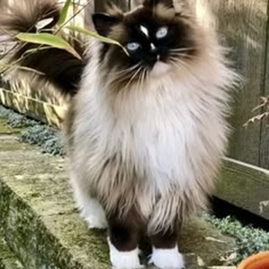 They Just Don't Know (sped up)