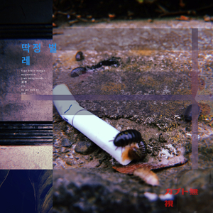 アパシービートル