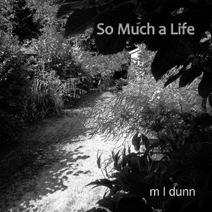 So Much a Life
