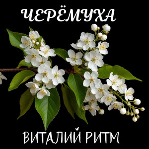 Черёмуха