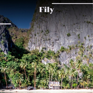 Fily