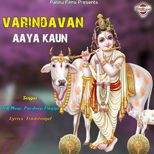 Varindavan Aaya Kaun