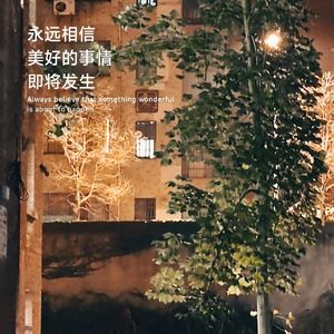 燕子 - 《大多数》（电钢）