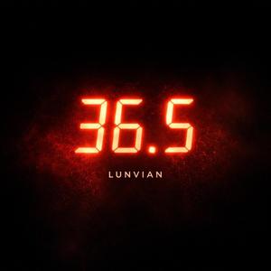 36.5