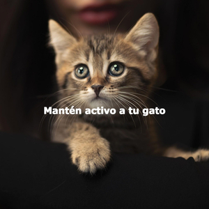 Sultry Chill Out Saturday