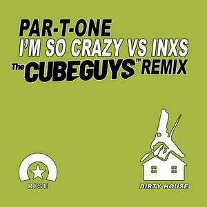 I'm So Crazy (The Cube Guys Remix)