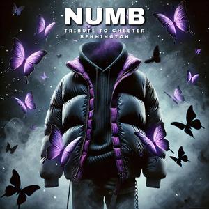NUMB