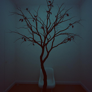 Tình Yêu Sinh Ra Để Kết Thúc