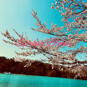 君との日々を思い出す