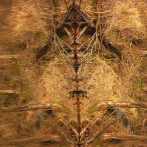 The Ballad of Jethro Bodine