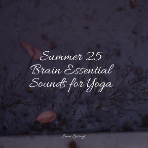 Wetland, Rain, Puddle, Frogs