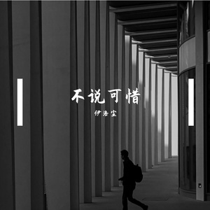 不说可惜