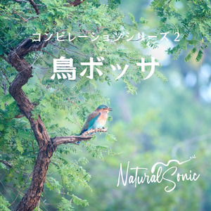 Birdsong and Ukulele