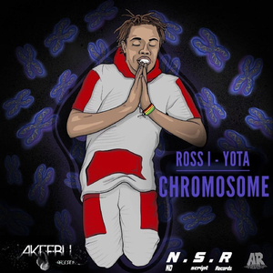 Chromosome