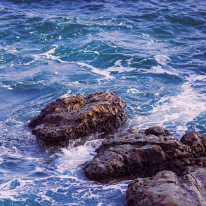 A Night's Found Comfort