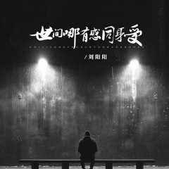 世间哪有感同身受 (DJ锋仔版)