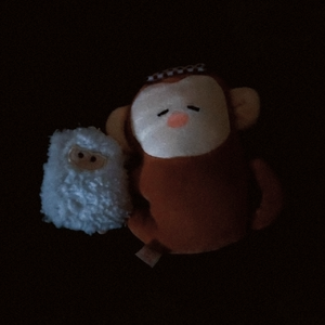 午后醒来看见的是梦里的场景