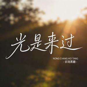 光是来过