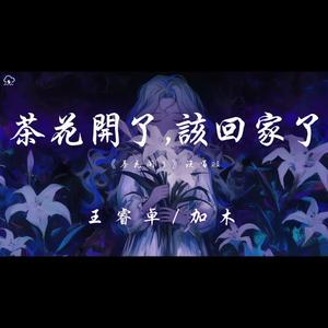 茶花开了，该回家了 (《茶花开了》说唱版-DjProghouse