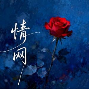 情网 (阿若版)(Remix)