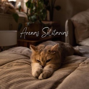 Arenas Solitarias