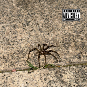 Slogans(prod Gr33nart)