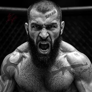 Дикие бойцы