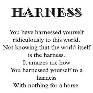 Harness(for Two Cellos and TTB Piggy Choir)(Demo)(Remastered)