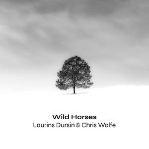 Wild Horses (Strings Version)