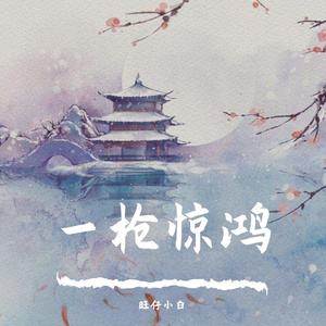 一枪惊鸿（旺仔小白 remix）
