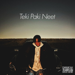 テキパキニート