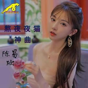 我不做大哥好多年 - (慢摇舒适舞曲)