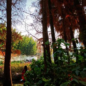 四季予你（加快版）