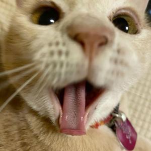 you make it feel like christmas (slowed)