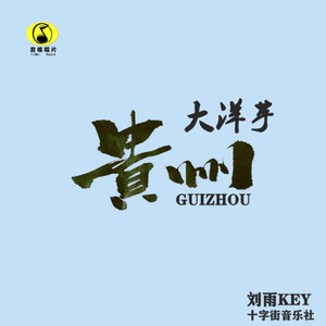 贵州大洋芋（DJ版）