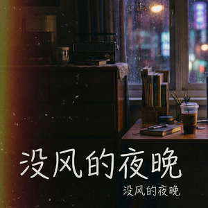 在这 没风 的 夜晚