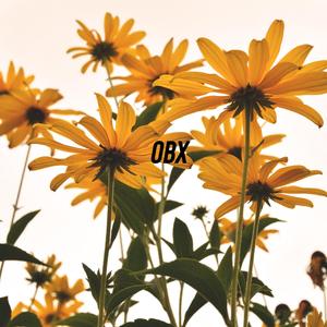 obx
